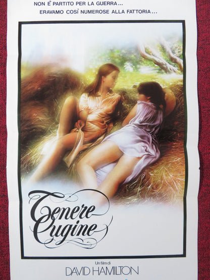 TENDER COUSINS ITALIAN LOCANDINA POSTER THEIRRY TEVINI ANJA SHUTE 1981 Rendezvous Cinema Movie posters