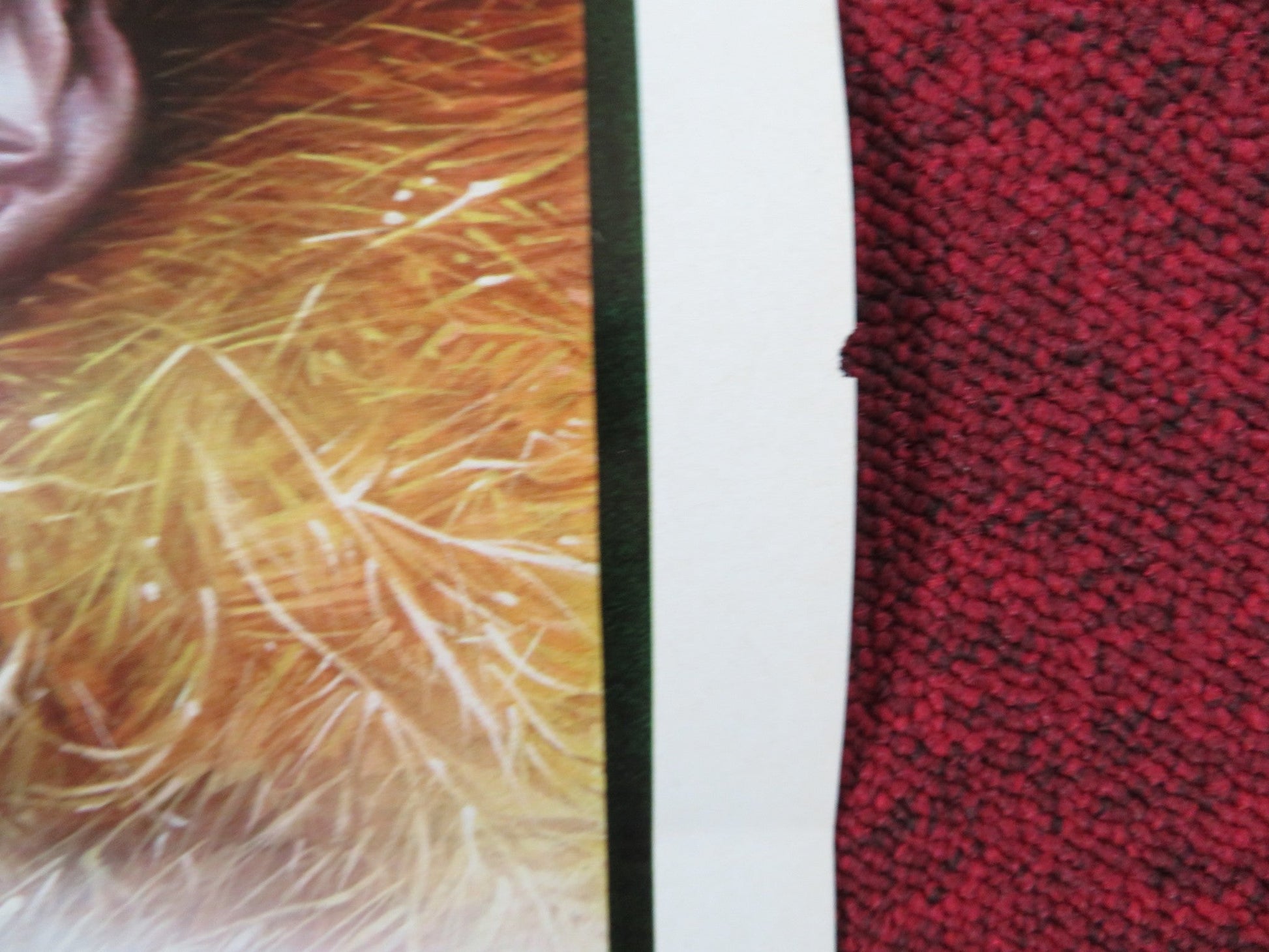 TENDER COUSINS ITALIAN LOCANDINA POSTER THEIRRY TEVINI ANJA SHUTE 1981 Rendezvous Cinema Movie posters