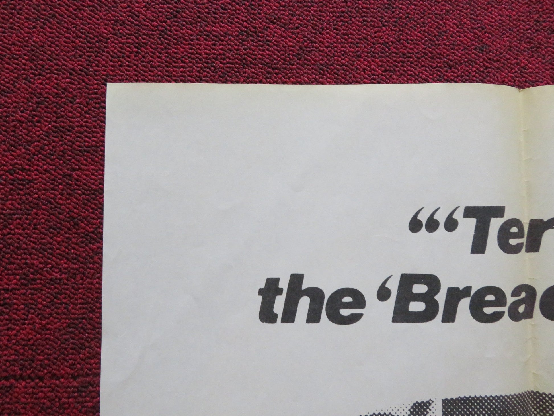 TERESA THE THIEF FOLDED US ONE SHEET POSTER MONICA VITTI S. SATTA FLORES 1973 Rendezvous Cinema Movie posters