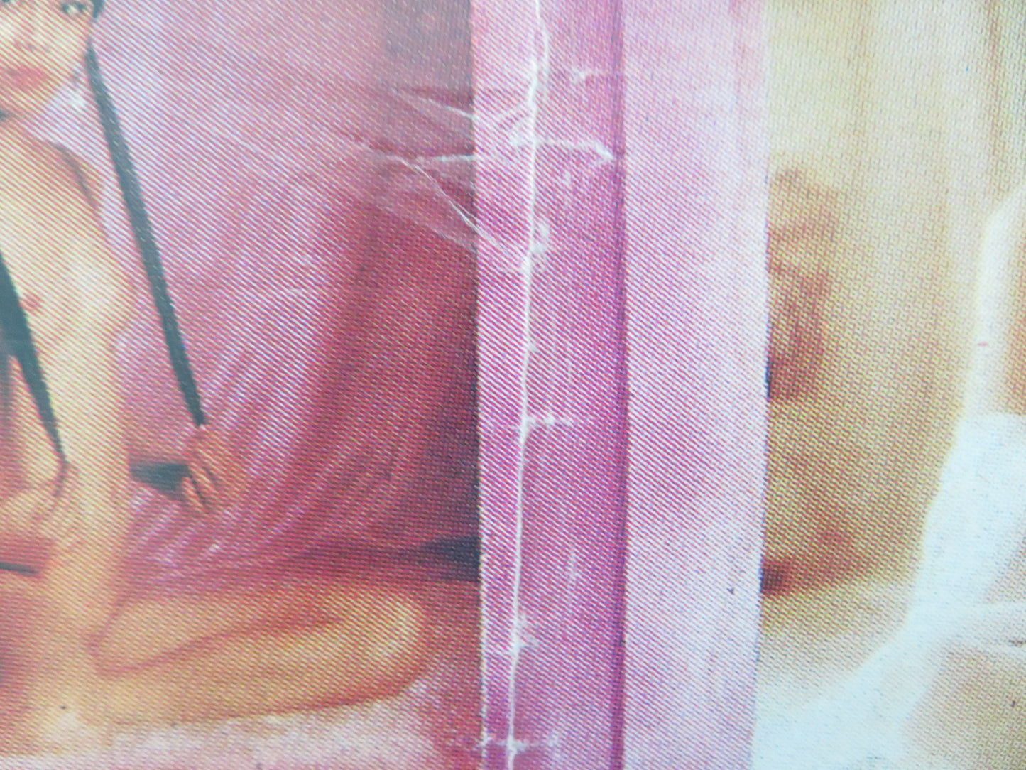 Thai Rolled Poster Brigitte Lin Movie posters