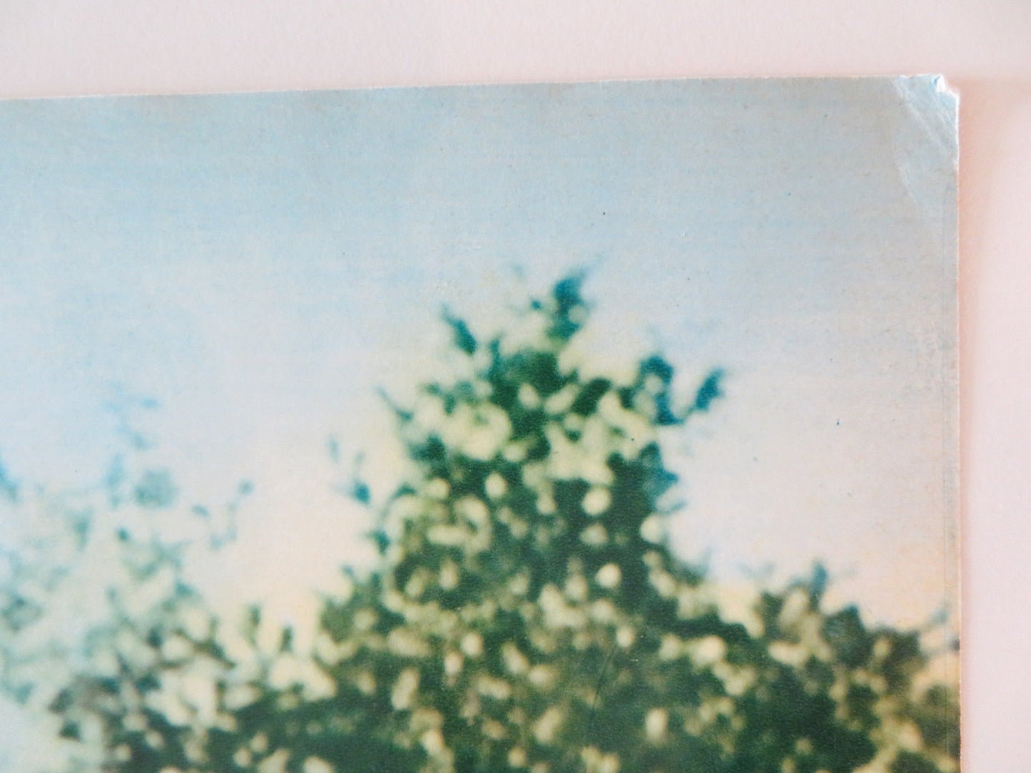 THARUS, SON OF ATTILA - B ITALIAN FOTOBUSTA POSTER JEROME COURTLAND 1962 Rendezvous Cinema Movie posters