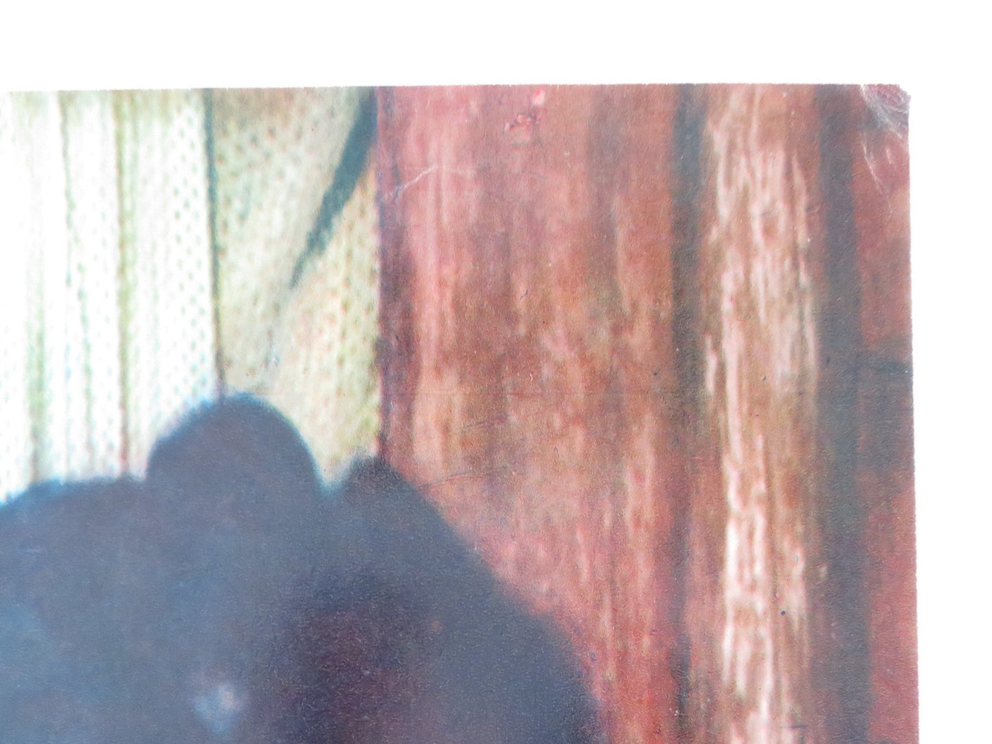 THARUS, SON OF ATTILA - D ITALIAN FOTOBUSTA POSTER JEROME COURTLAND 1962 Rendezvous Cinema Movie posters