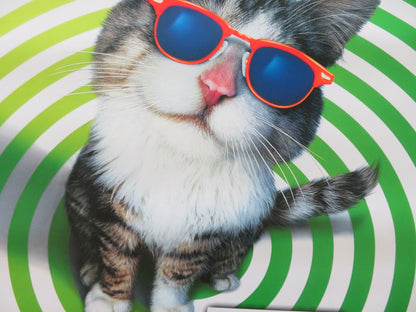 THAT DARN CAT US ONE SHEET ROLLED POSTER CHRISTINA RICCI DEAN JONES 1997 Rendezvous Cinema Movie posters