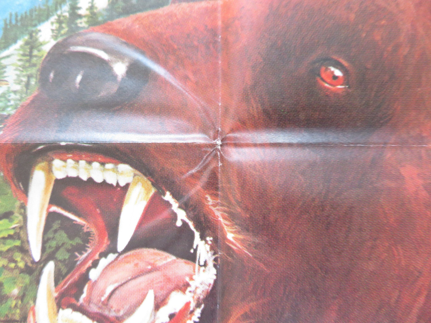 THE ADVENTURES OF THE WILDERNESS FAMILY GERMAN A1 POSTER FOLDED R. LOGAN 1981 Rendezvous Cinema Movie posters