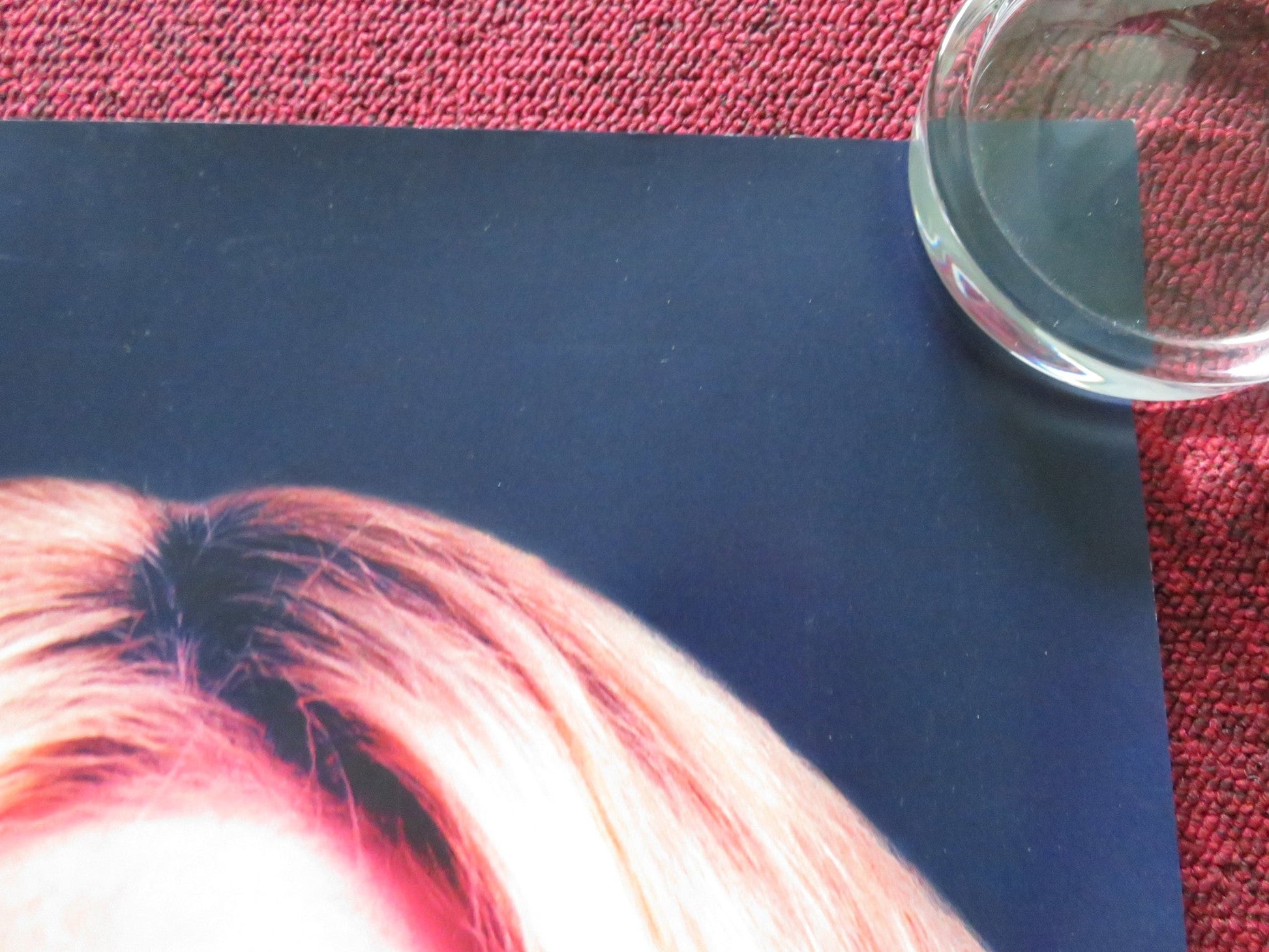 THE ALMOND AND THE SEAHORSE UK QUAD ROLLED POSTER REBEL WILSON 2022 Rendezvous Cinema Movie posters