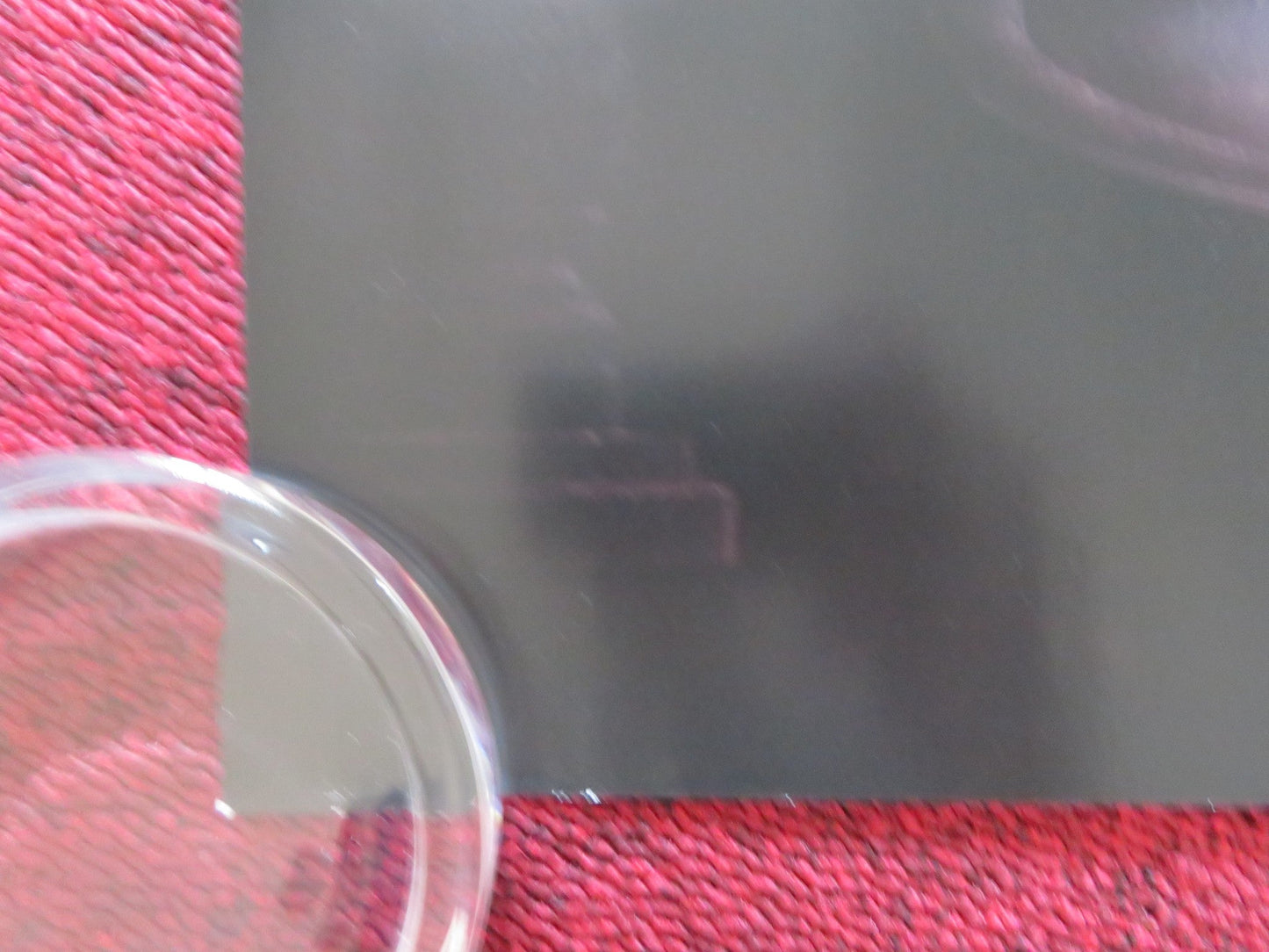 THE AMERICAN SOCIETY OF MAGICAL NEGROES UK QUAD ROLLED POSTER JUSTICE SMITH 2024 Rendezvous Cinema Movie posters