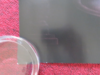 THE AMERICAN SOCIETY OF MAGICAL NEGROES UK QUAD ROLLED POSTER JUSTICE SMITH 2024 Rendezvous Cinema Movie posters