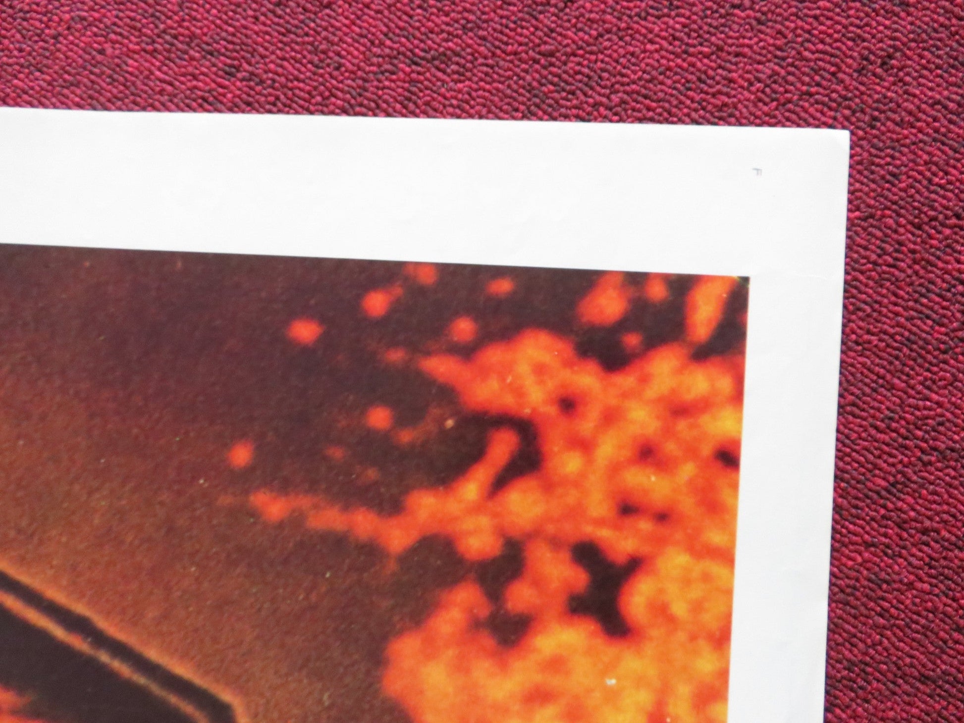 THE AMITYVILLE HORROR FOLDED US ONE SHEET POSTER JAMES BROLIN MARGOT KIDDER 1979 Rendezvous Cinema Movie posters