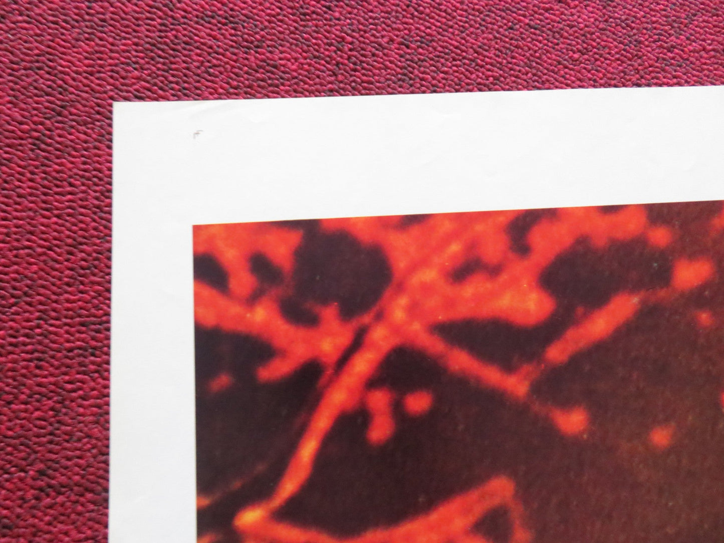 THE AMITYVILLE HORROR FOLDED US ONE SHEET POSTER JAMES BROLIN MARGOT KIDDER 1979 Rendezvous Cinema Movie posters