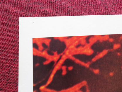 THE AMITYVILLE HORROR FOLDED US ONE SHEET POSTER JAMES BROLIN MARGOT KIDDER 1979 Rendezvous Cinema Movie posters