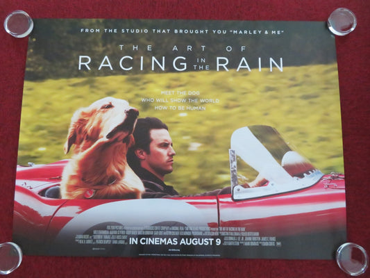 THE ART OF RACING IN THE RAIN - B UK QUAD ROLLED POSTER KEVIN COSTNER 2019 - Rendezvous Cinema