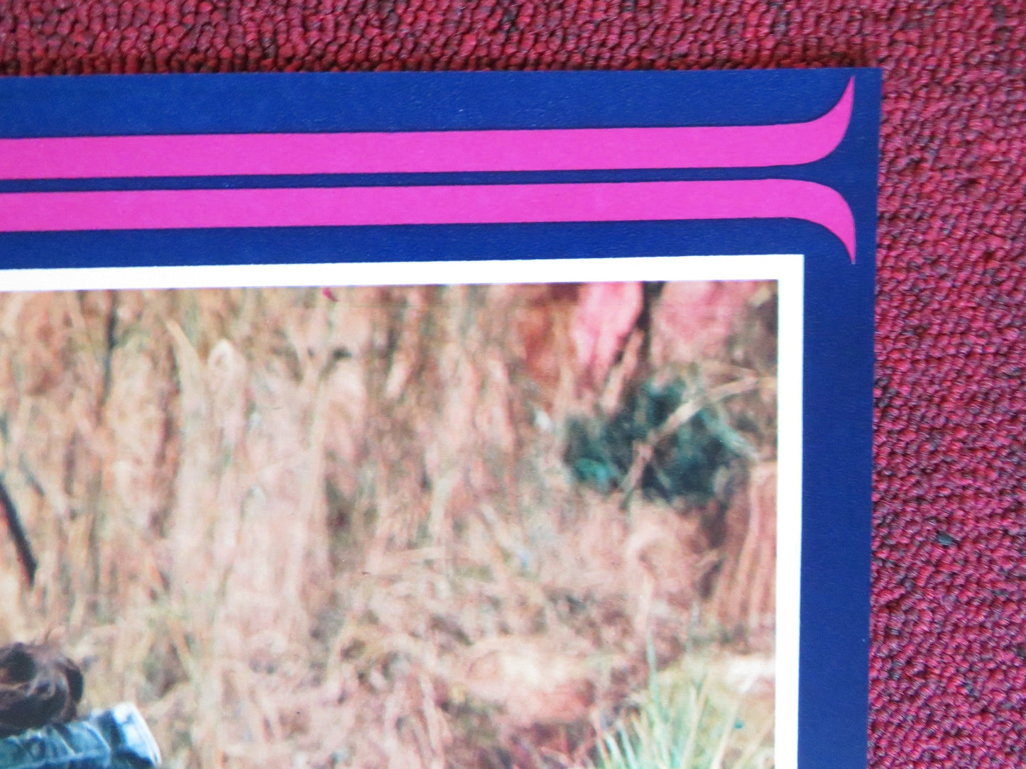 THE AVENGING EAGLE ITALIAN FOTOBUSTA POSTER SHENG FU LUNG TI 1978 Rendezvous Cinema Movie posters