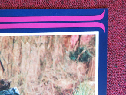 THE AVENGING EAGLE ITALIAN FOTOBUSTA POSTER SHENG FU LUNG TI 1978 Rendezvous Cinema Movie posters