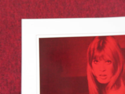 THE BACKPACK GIRLS FOLDED US ONE SHEET POSTER ANDREW PARKS TINA LUND 1977 Rendezvous Cinema Movie posters