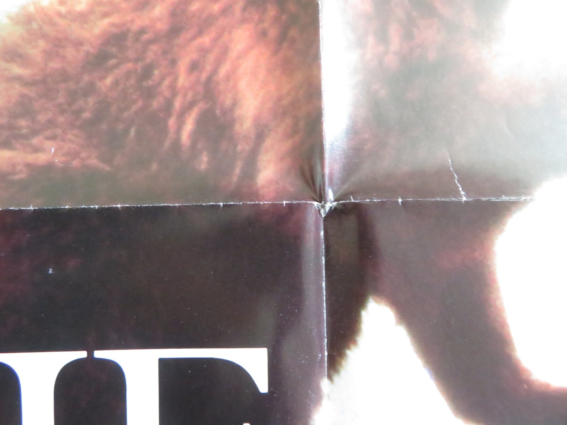 THE BEAR - B FOLDED US ONE SHEET POSTER JACK WALLACE TCHEKY KARYO 1989 Rendezvous Cinema Movie posters