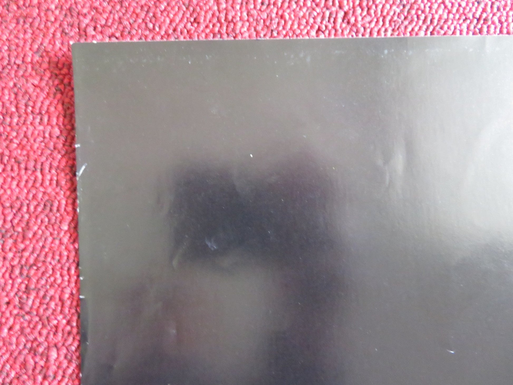 THE BEAR - B FOLDED US ONE SHEET POSTER JACK WALLACE TCHEKY KARYO 1989 Rendezvous Cinema Movie posters