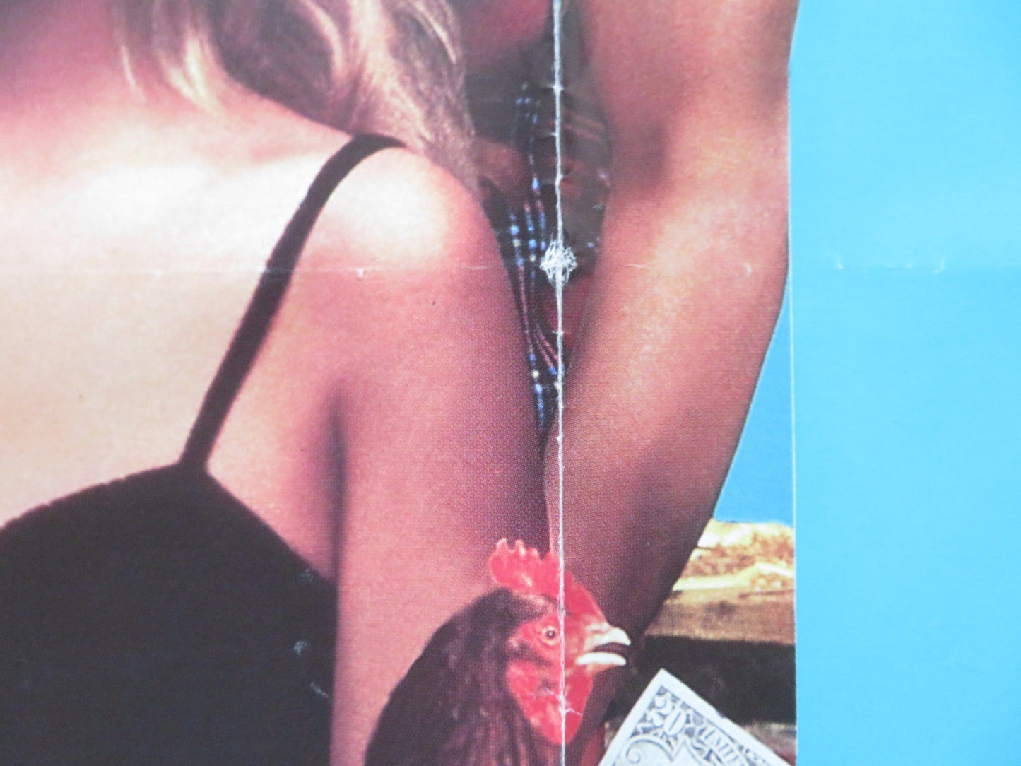 THE BEVERLY HILLBILLIES UK QUAD ROLLED POSTER JIM VARNEY ERIKA ELENIAK 1993 Rendezvous Cinema Movie posters