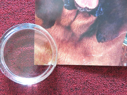 THE BEVERLY HILLBILLIES UK QUAD ROLLED POSTER JIM VARNEY ERIKA ELENIAK 1993 Rendezvous Cinema Movie posters