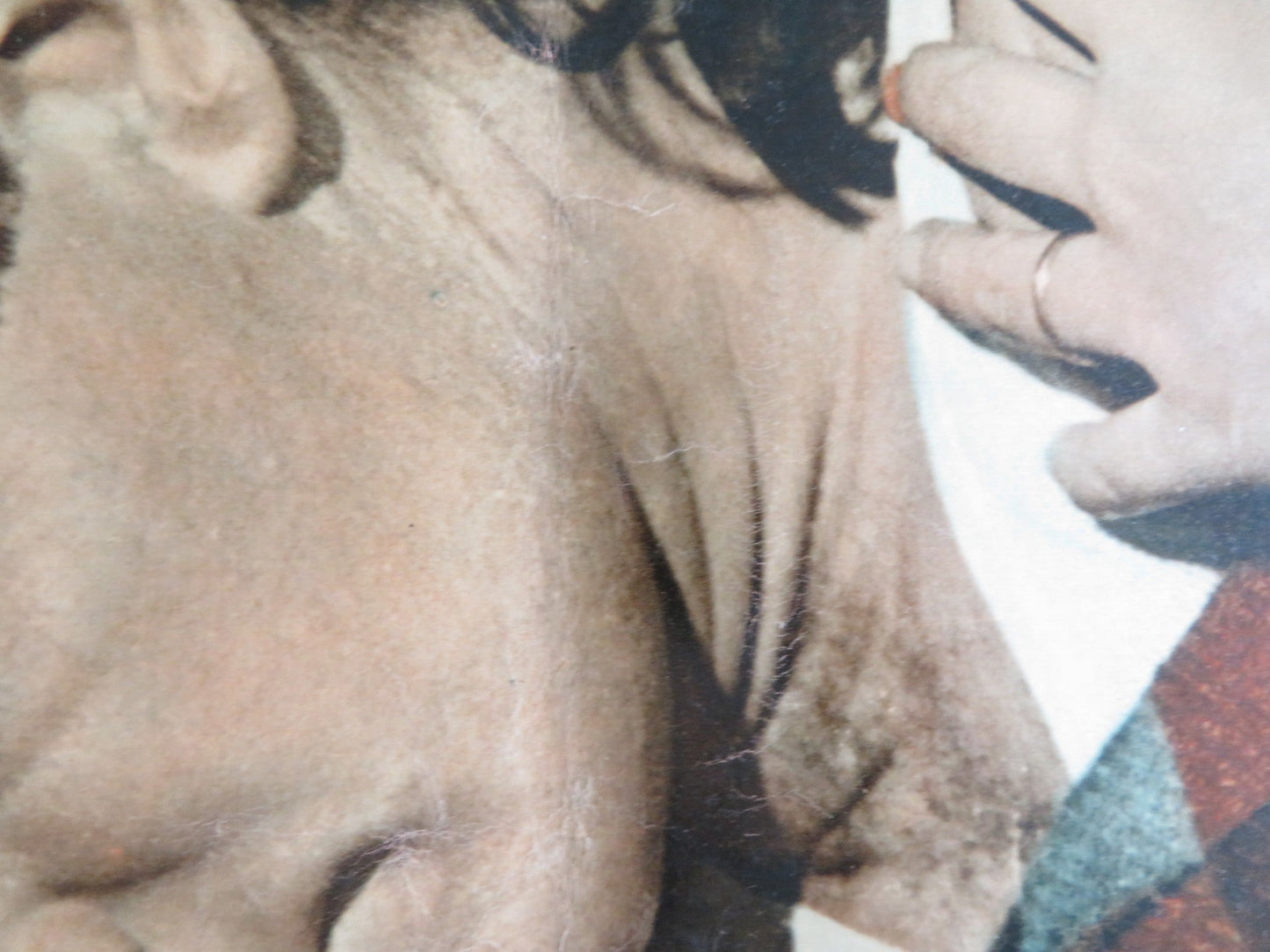 THE BIG GAMBLE - C ITALIAN FOTOBUSTA POSTER STEPHEN BOYD JULIETTE GRECO 1961 Rendezvous Cinema Movie posters