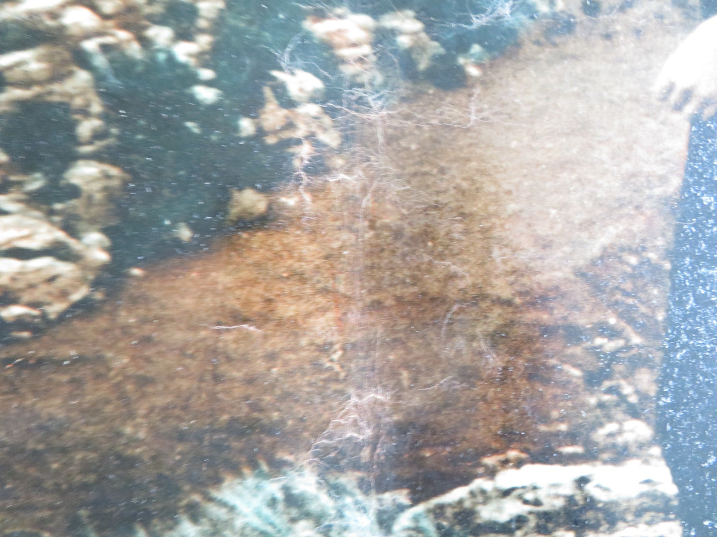 THE BIG GAMBLE - I ITALIAN FOTOBUSTA POSTER STEPHEN BOYD JULIETTE GRECO 1961 Rendezvous Cinema Movie posters