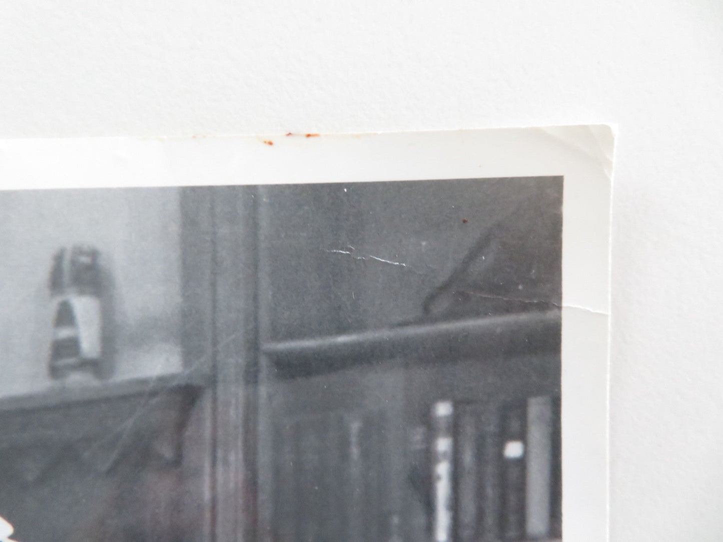 THE BLACK RAVEN MOVIE STILL PHOTO GEORGE ZUCCO ROBERT LIVINGSTONE Movie posters