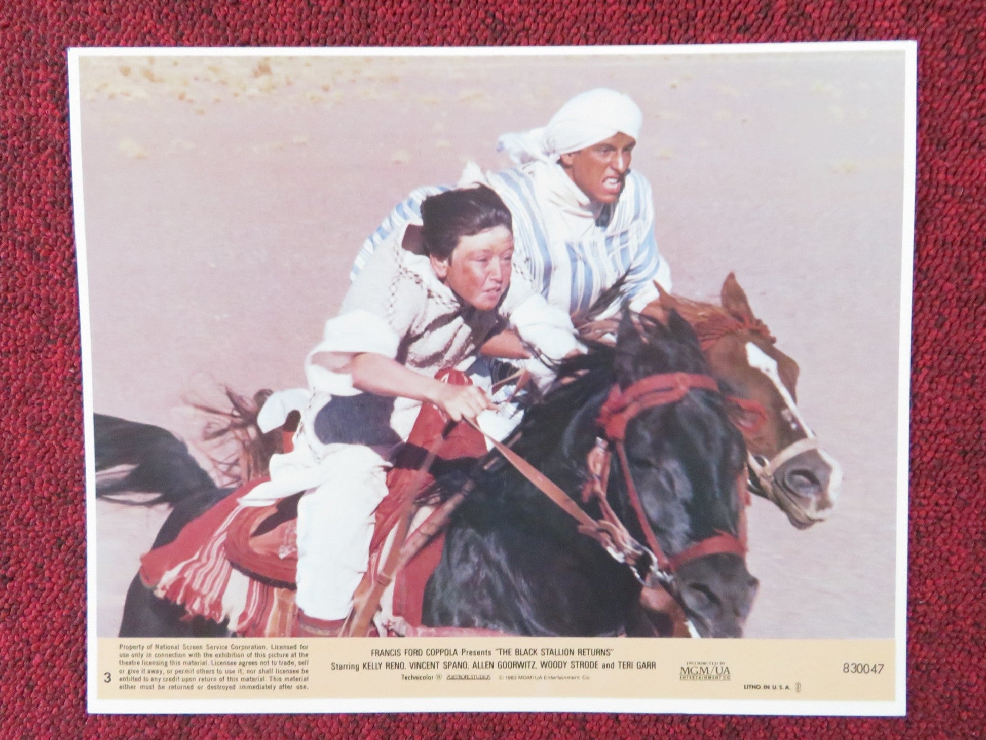 THE BLACK STALLION RETURNS - 3 LOBBY CARD KELLY RENO VINCENT SPANO 1983 Rendezvous Cinema Movie posters