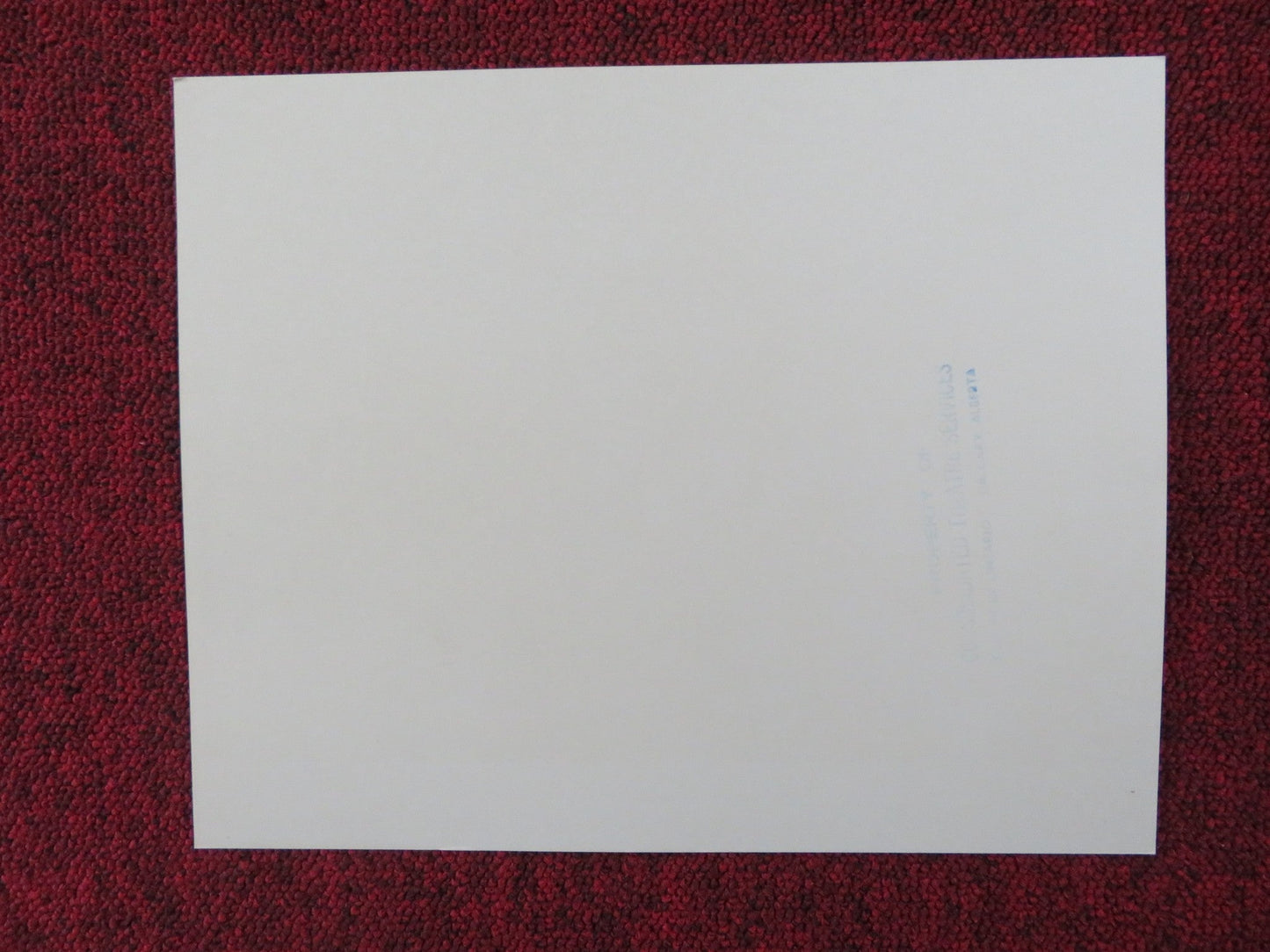 THE BLACK STALLION RETURNS - 3 LOBBY CARD KELLY RENO VINCENT SPANO 1983 Rendezvous Cinema Movie posters