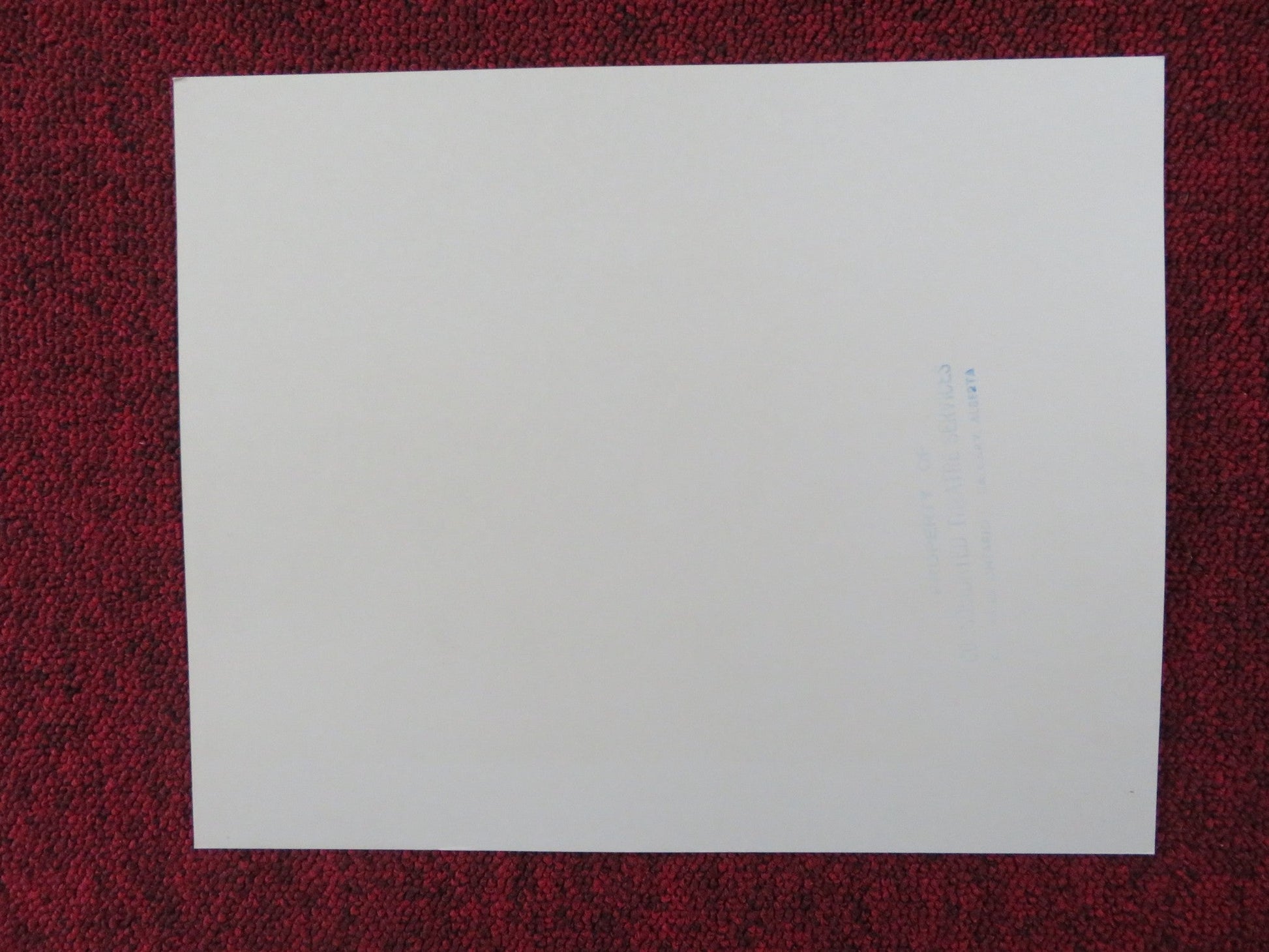 THE BLACK STALLION RETURNS - 3 LOBBY CARD KELLY RENO VINCENT SPANO 1983 Rendezvous Cinema Movie posters