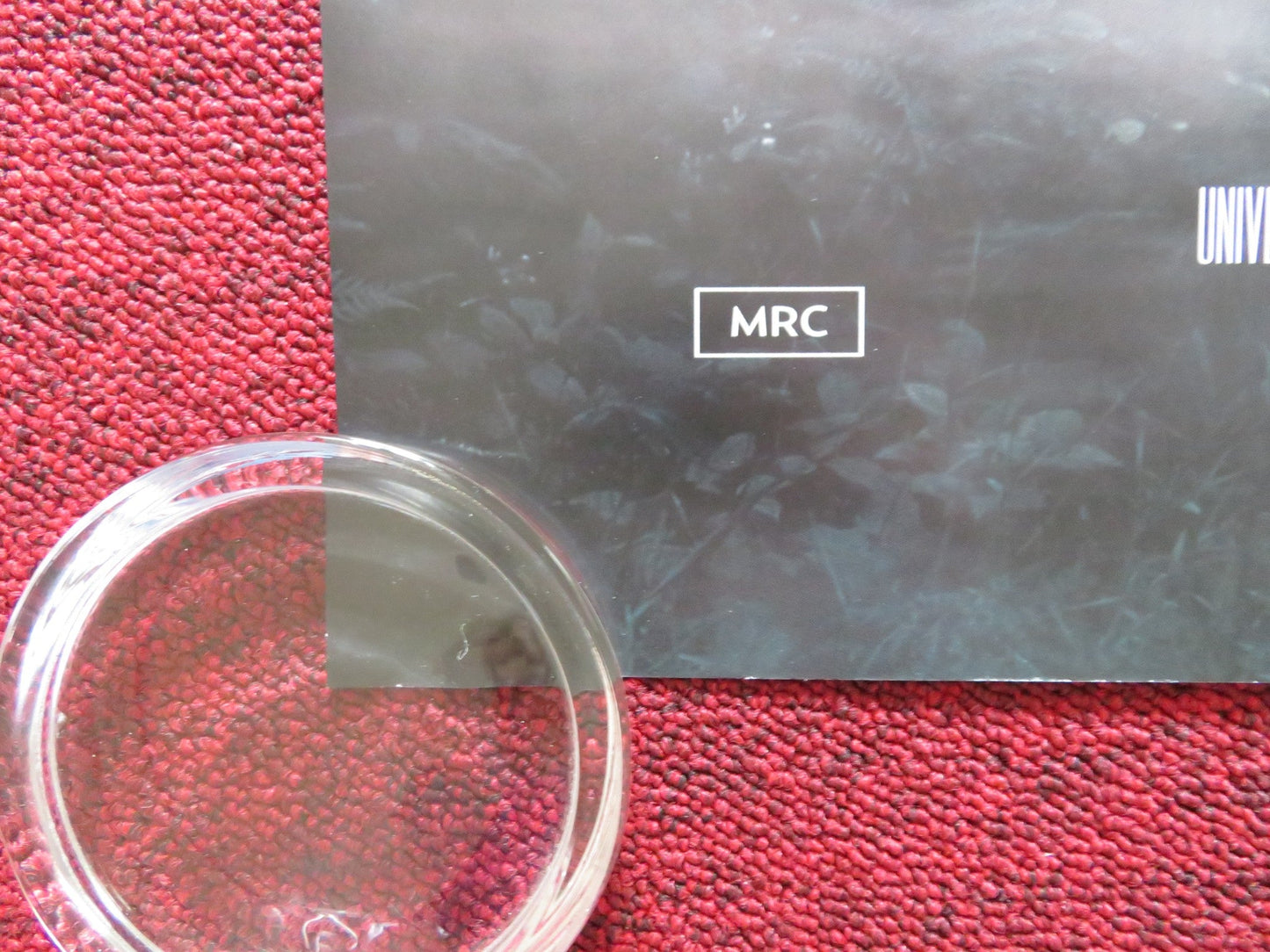 THE BLACKENING UK QUAD ROLLED POSTER GRACE BYERS JERMAINE FOWLER 2022 Rendezvous Cinema Movie posters