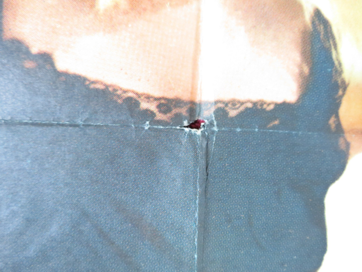 THE BLUE ANGEL FOLDED US ONE SHEET POSTER CURD JURGENS MAY BRITT 1959 Rendezvous Cinema Movie posters