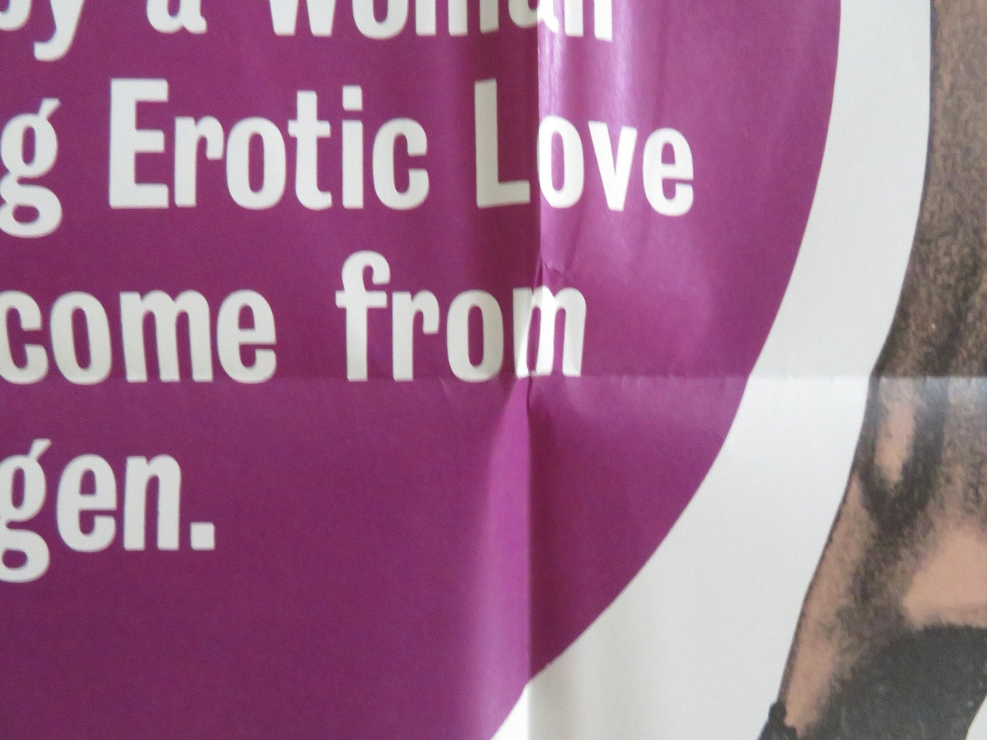 THE BLUE BALLOON FOLDED US ONE SHEET POSTER LISBETH OLSEN RICHARD MILES 1973 Rendezvous Cinema Movie posters