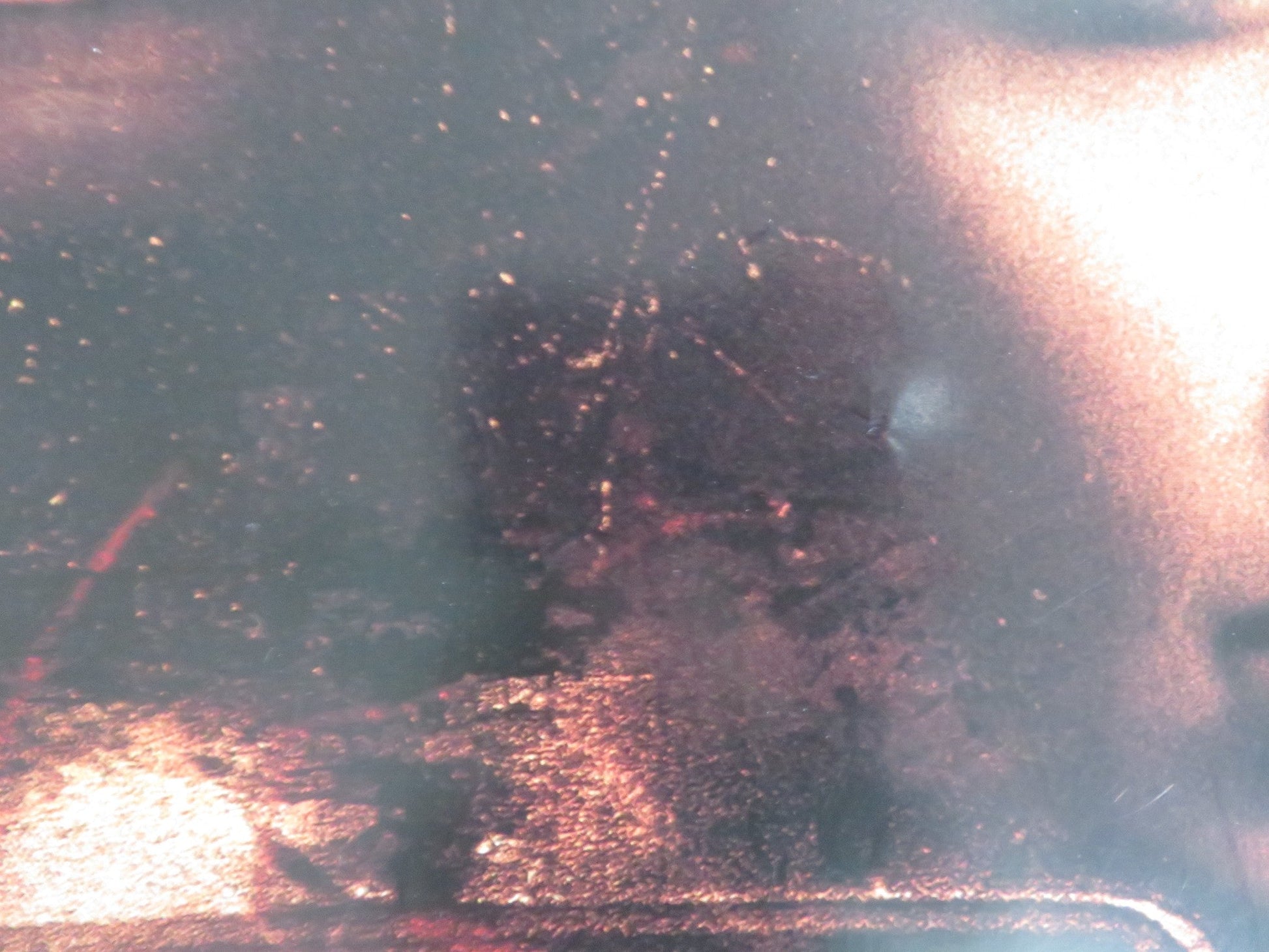 THE BONE COLLECTOR DVD POSTER DENZEL WASHINGTON ANGELINA JOLIE 1999 Rendezvous Cinema Movie posters