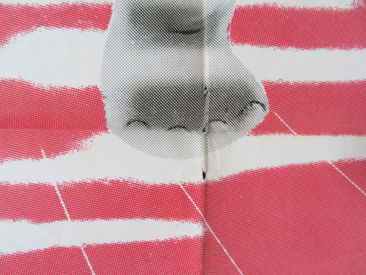 THE BOY WHO OWNED A MELEPHANT FOLDED US ONE SHEET POSTER TALLULAH BANKHEAD 1959 Rendezvous Cinema Movie posters