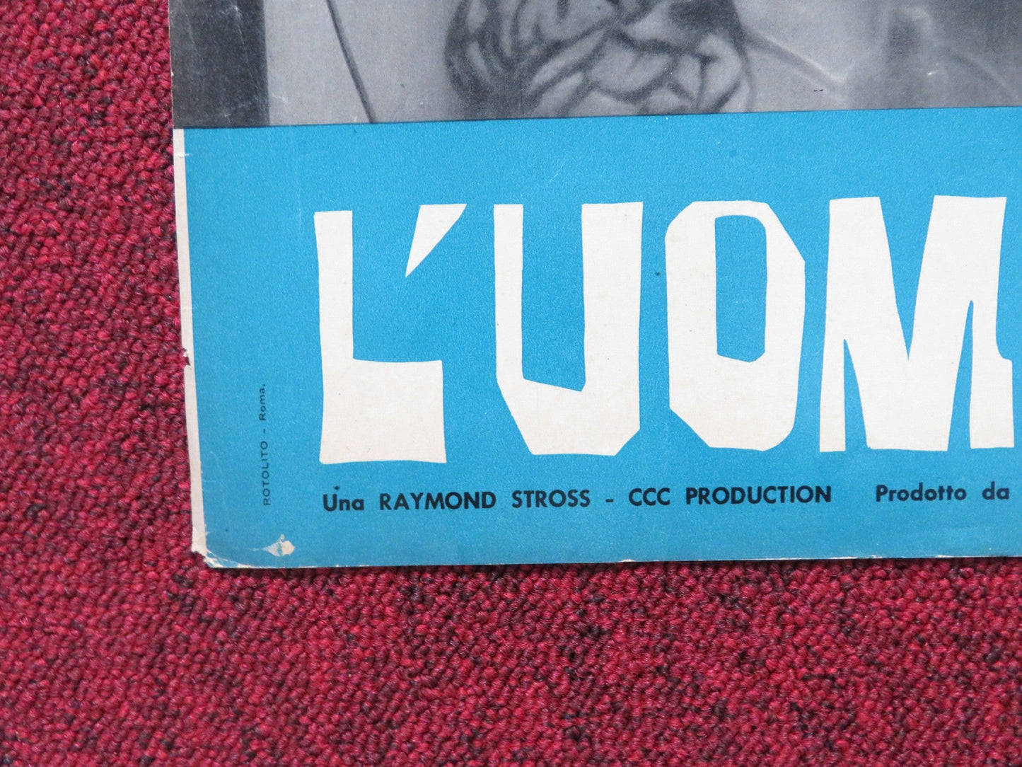 THE BRAIN - A ITALIAN FOTOBUSTA POSTER PETER VAN EYCK ANNE HEYWOOD 1962 Rendezvous Cinema Movie posters