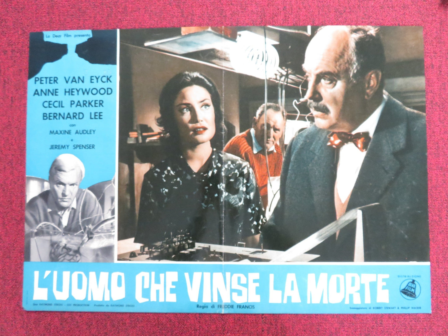 THE BRAIN - B ITALIAN FOTOBUSTA POSTER PETER VAN EYCK ANNE HEYWOOD 1962 Rendezvous Cinema Movie posters