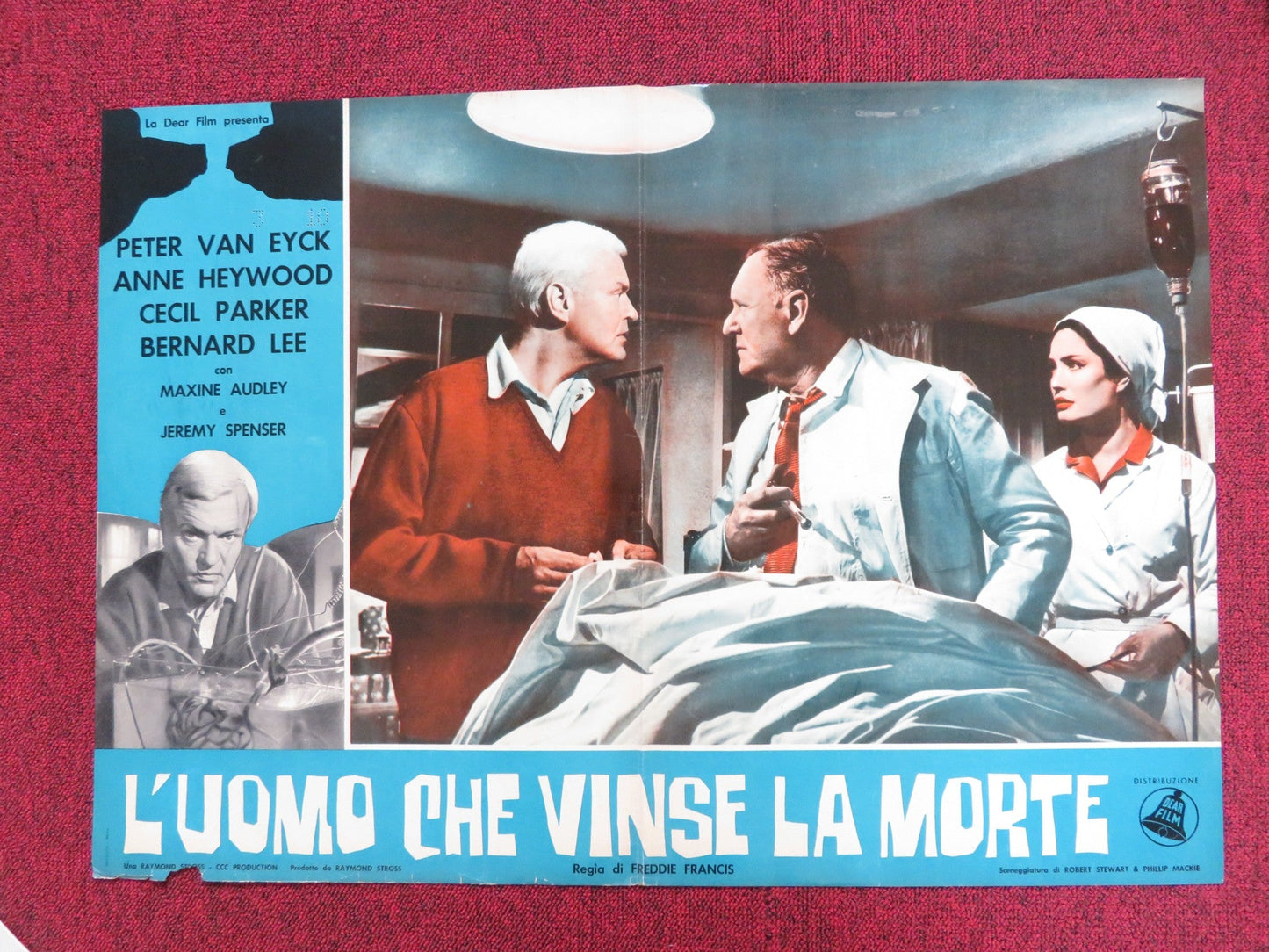 THE BRAIN - C ITALIAN FOTOBUSTA POSTER PETER VAN EYCK ANNE HEYWOOD 1962 Rendezvous Cinema Movie posters