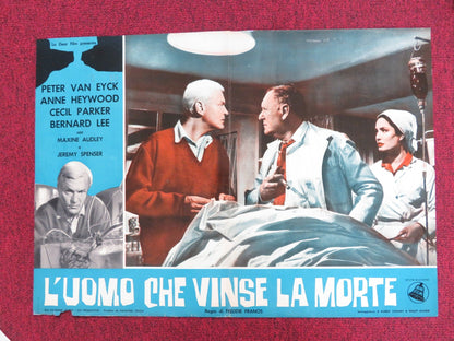 THE BRAIN - C ITALIAN FOTOBUSTA POSTER PETER VAN EYCK ANNE HEYWOOD 1962 Rendezvous Cinema Movie posters