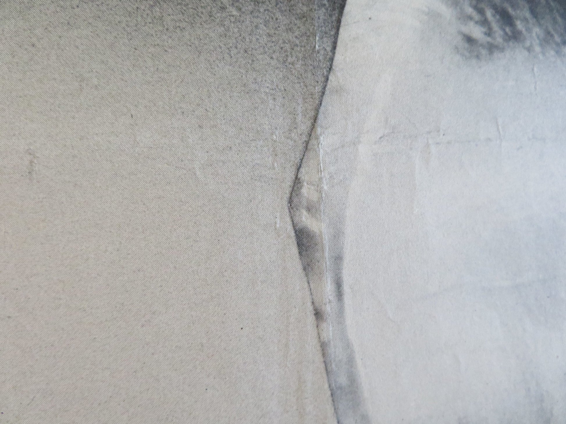 THE BROWNING VERSION DANISH POSTER ROLLED MICHAEL REDGRAVE JEAN KENT 1951 Rendezvous Cinema Movie posters