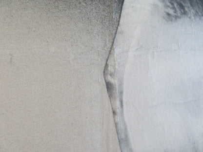 THE BROWNING VERSION DANISH POSTER ROLLED MICHAEL REDGRAVE JEAN KENT 1951 Rendezvous Cinema Movie posters