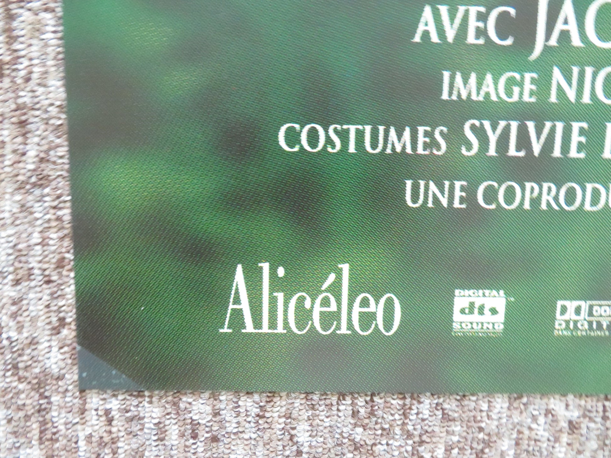 The Butterfly French Grande Poster Michel Serrault Claire Bouanich 2002 Movie posters