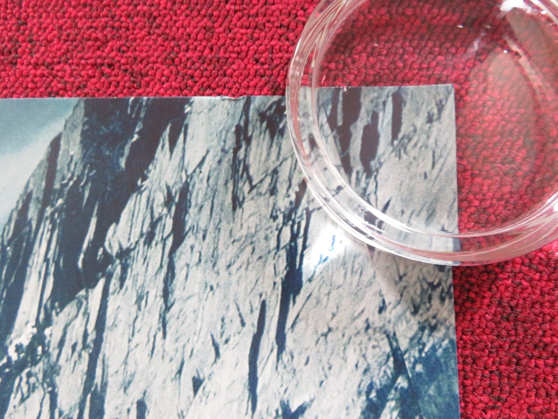 THE CALL OF THE WILD UK QUAD ROLLED POSTER HARRISON FORD OMAR SY 2020 Rendezvous Cinema Movie posters