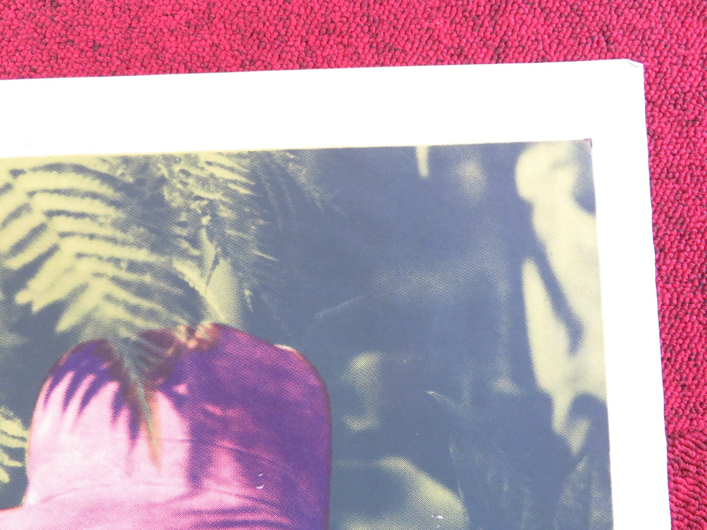 THE CARIBBEAN MYSTERY FOLDED US ONE SHEET POSTER JAMES DUNN SHEILA RYAN 1945 Rendezvous Cinema Movie posters