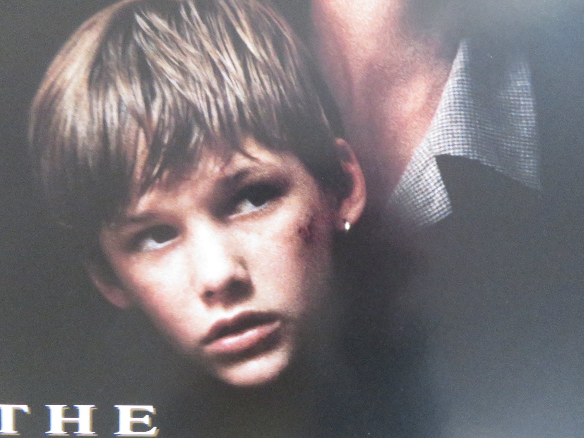 THE CLIENT - B VHS VIDEO POSTER SUSAN SARANDON TOMMY LEE JONES 1994 Rendezvous Cinema Movie posters