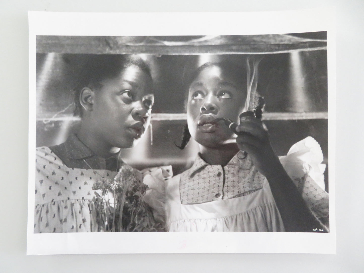 The Color Purple - A Movie Still Photo Lot Of 10 Danny Glover W. Goldberg 1985 Movie posters