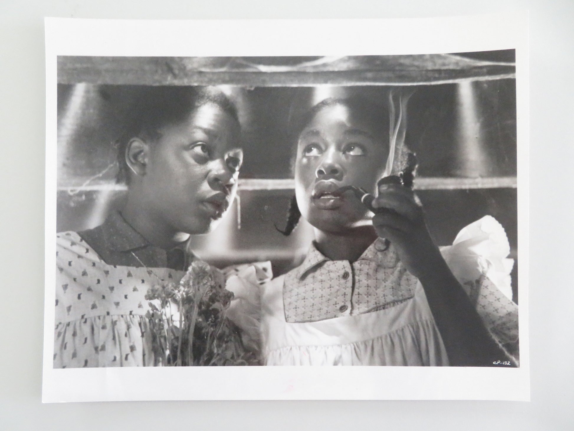 The Color Purple - A Movie Still Photo Lot Of 10 Danny Glover W. Goldberg 1985 Movie posters