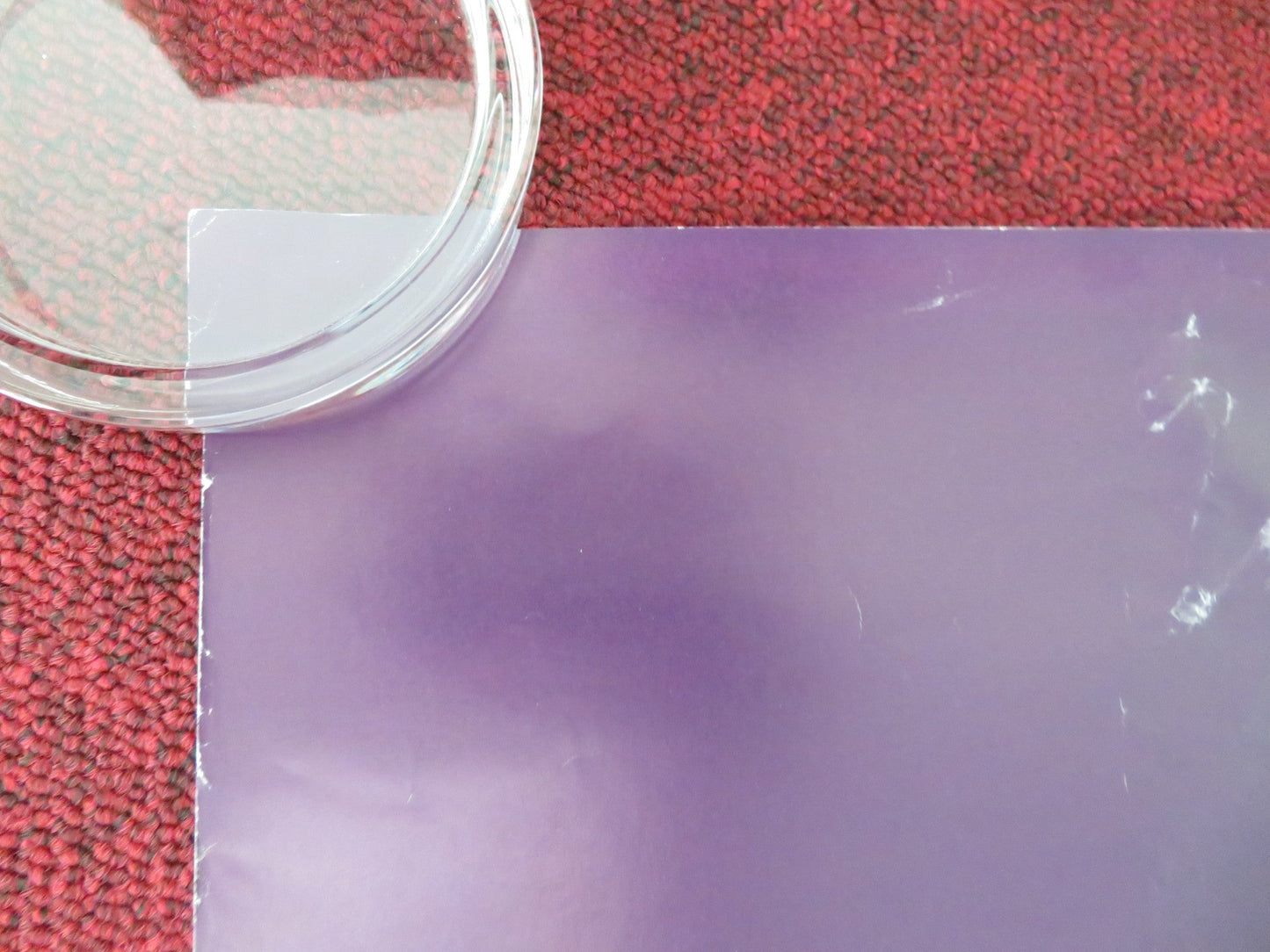 THE COLOR PURPLE US ONE SHEET ROLLED POSTER WHOOPI GOLDBERG DANNY GLOVER 1985 Movie posters