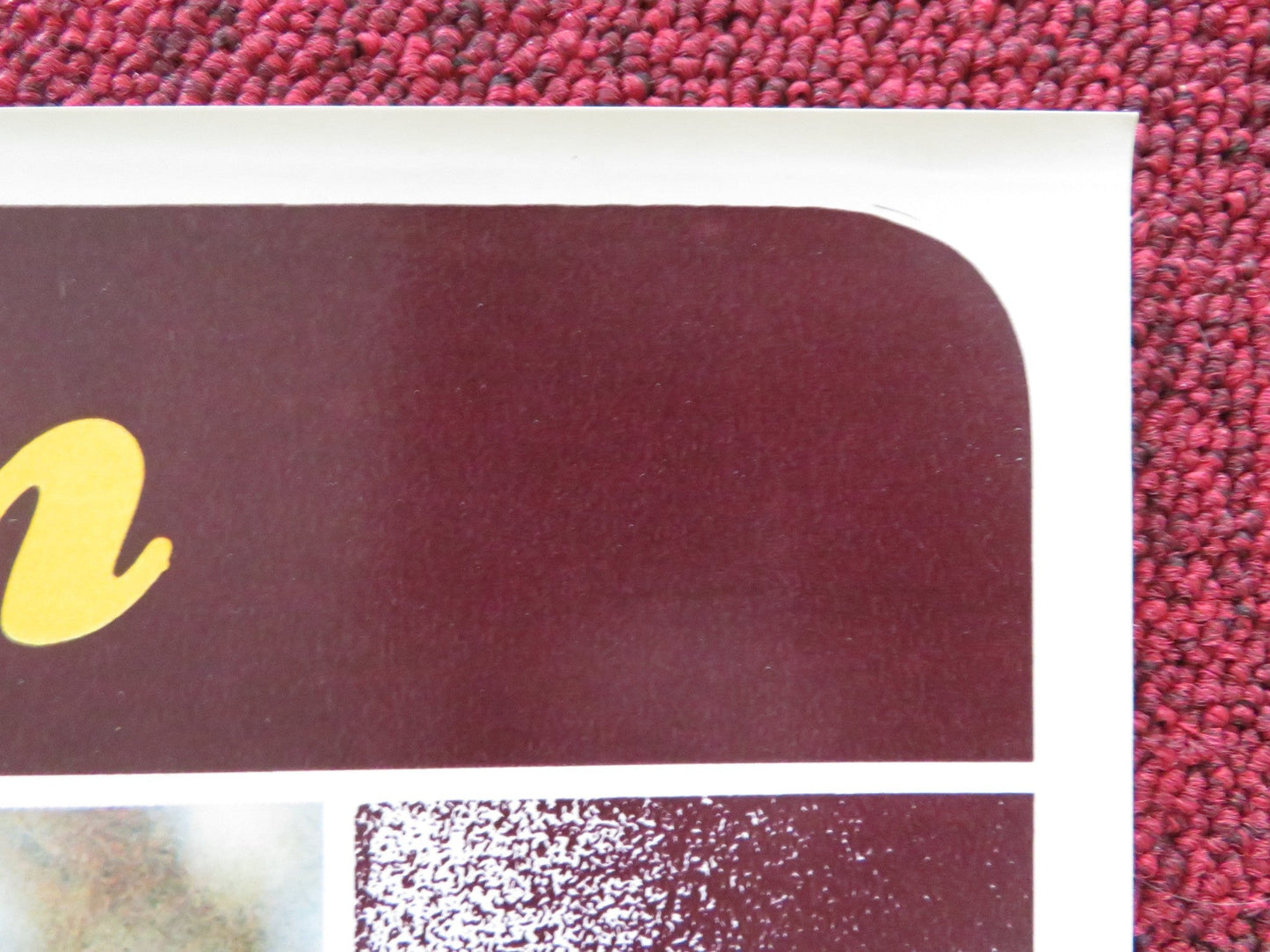 THE COMPETITION - A ITALIAN FOTOBUSTA POSTER RICHARD DREYFUSS AMY IRVING 1980 Rendezvous Cinema Movie posters