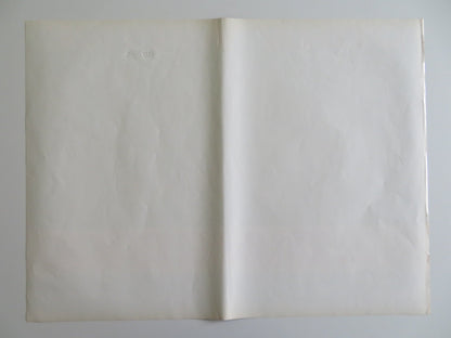 THE COWBOYS - A ITALIAN FOTOBUSTA POSTER JOHN WAYNE BRUCE DERN 1972 Rendezvous Cinema Movie posters