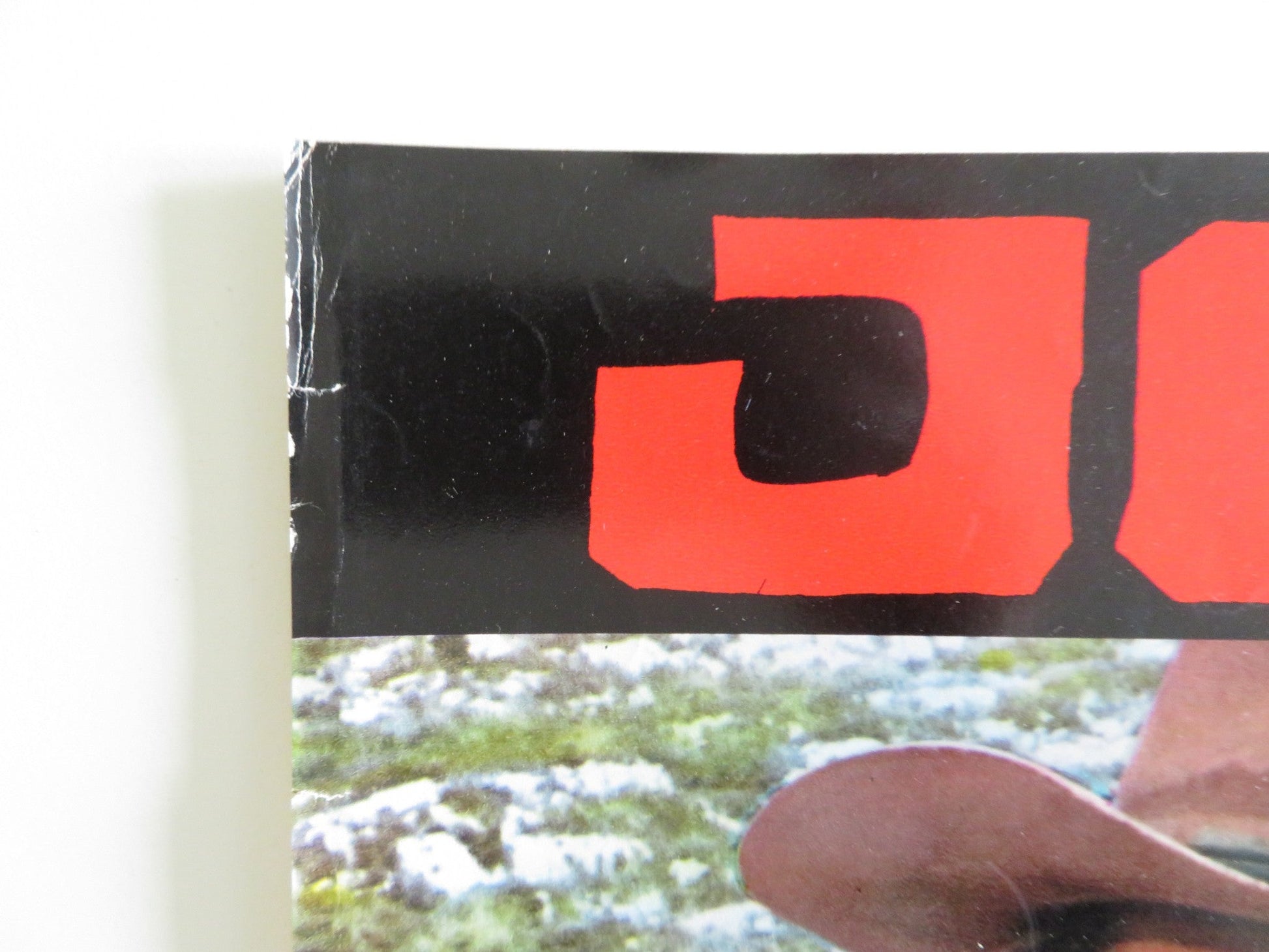 THE COWBOYS - A ITALIAN FOTOBUSTA POSTER JOHN WAYNE BRUCE DERN 1972 Rendezvous Cinema Movie posters