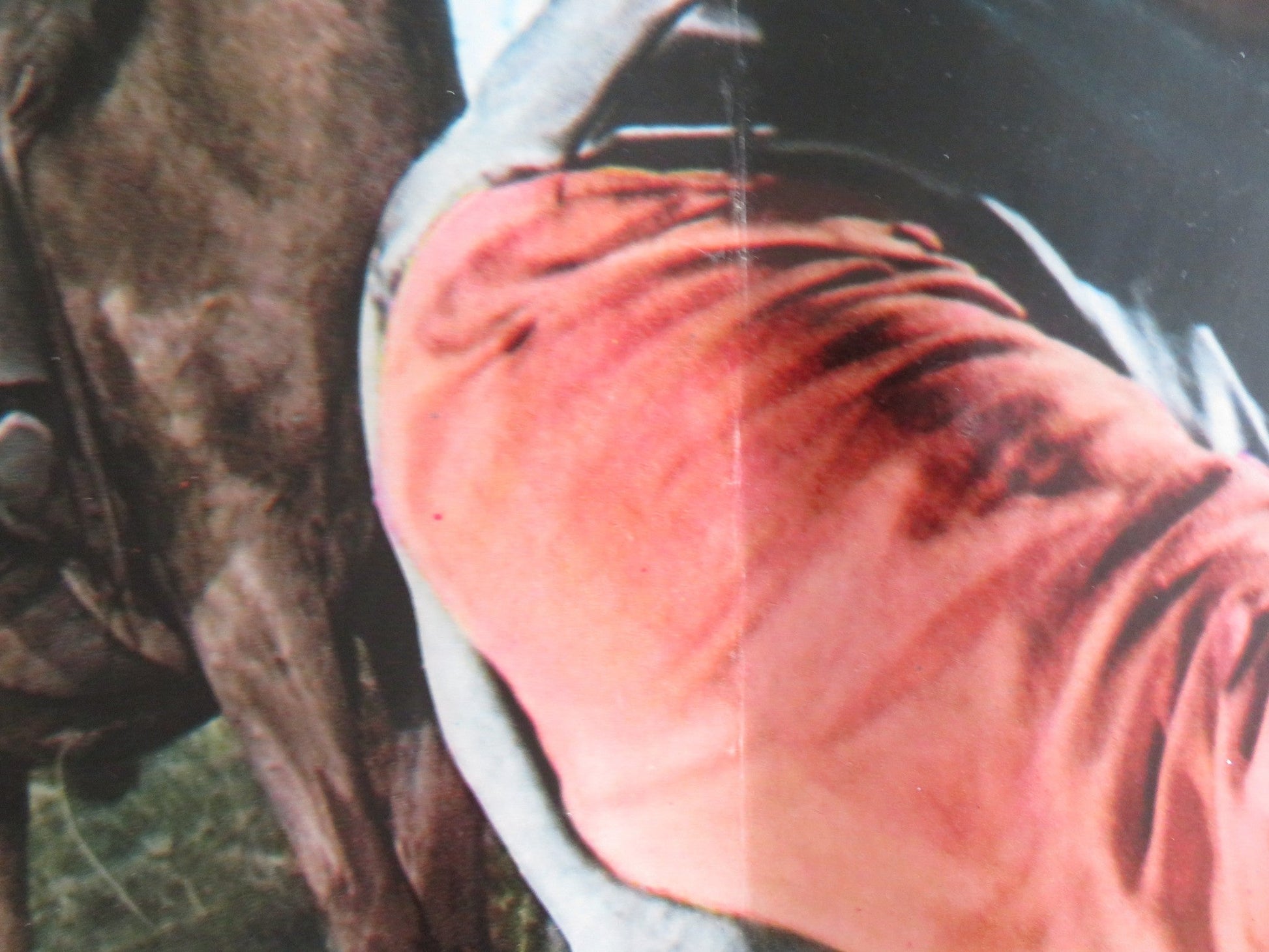 THE COWBOYS - C ITALIAN FOTOBUSTA POSTER JOHN WAYNE BRUCE DERN 1972 Rendezvous Cinema Movie posters